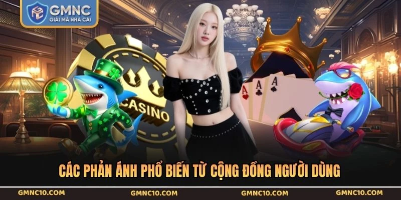 Các phản ánh phổ biến từ cộng đồng người dùng